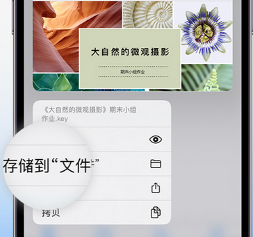 和田市apple维修中心分享iPhone文件应用中存储和找到下载文件