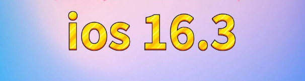 和田市苹果服务网点分享苹果iOS16.3升级反馈汇总 