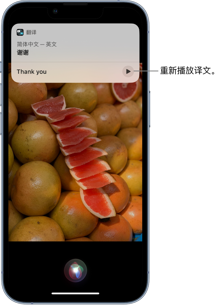 和田市苹果14维修分享 iPhone 14 机型中使用 Siri：了解 Siri 能帮你做什么 