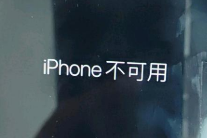 和田市苹果服务网点分享锁屏界面显示“iPhone 不可用”如何解决 