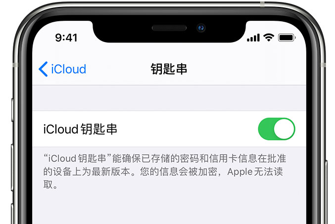 和田市苹果手机维修分享在 iPhone 上开启 iCloud 钥匙串之后会储存哪些信息 