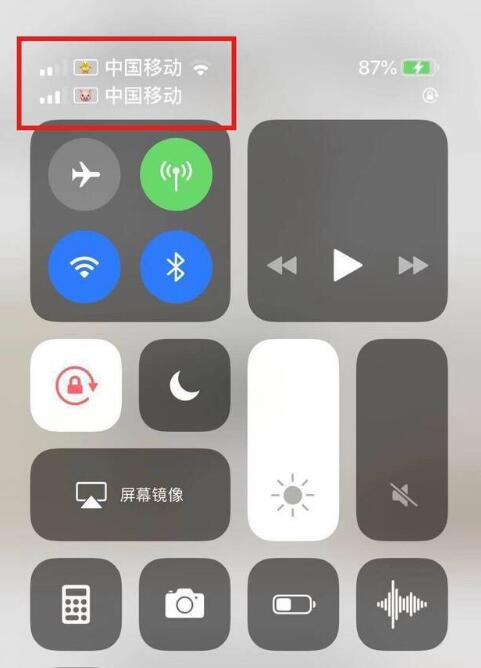 和田市苹果手机维修分享为 iPhone 12 双卡设置标签 